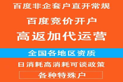 深度解析：百度推广代理的运营策略与效果